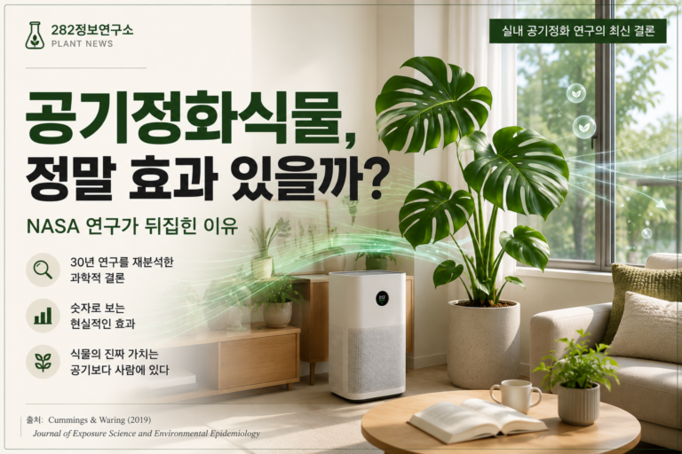 실내 공기정화 연구가 뒤집은 통념, ‘공기정화식물’은 정말 공기를 맑게 할까