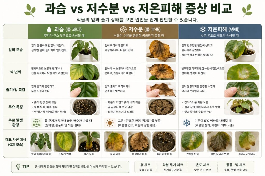 과습,저수분,저온피해 증상 비교
