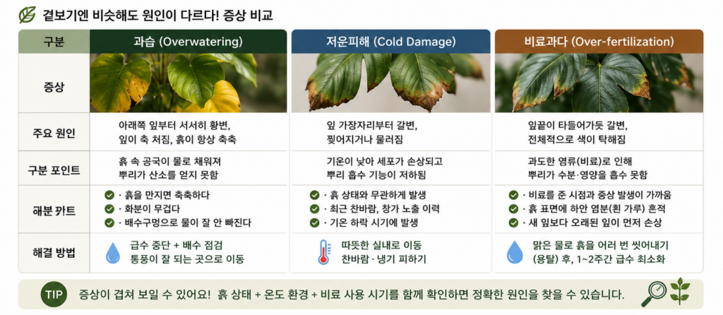 과습 증상 비교표