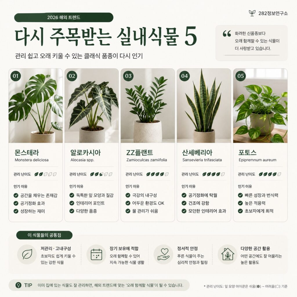 다시_주목받는_실내실묵_5