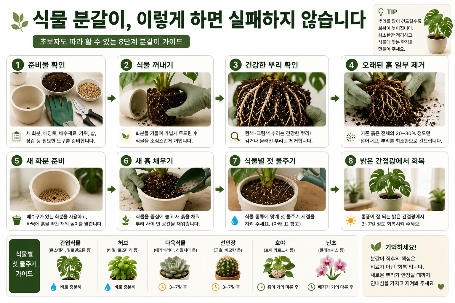 분갈이 8단계 순서도
