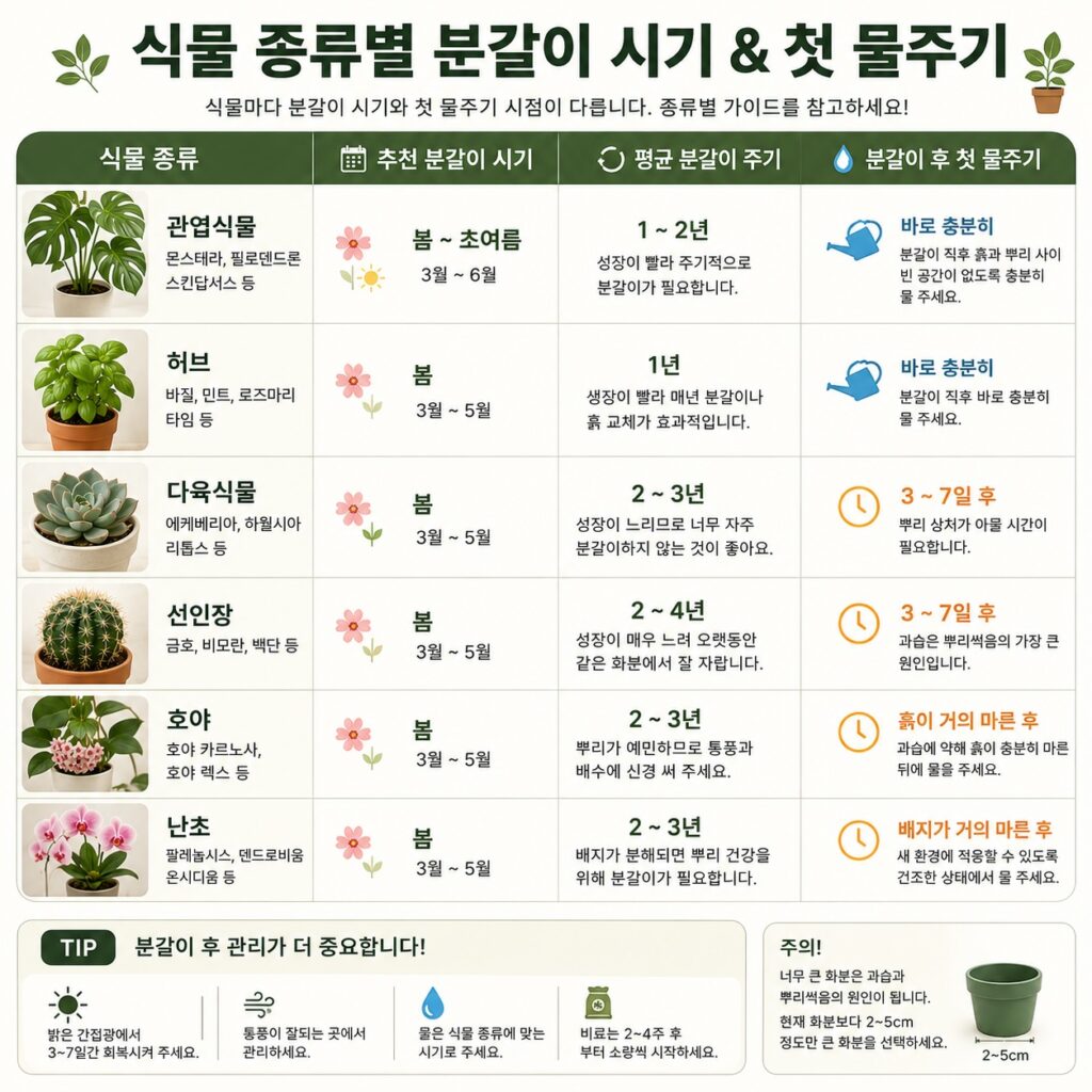 식물별 분갈이 시기와 첫 물주기