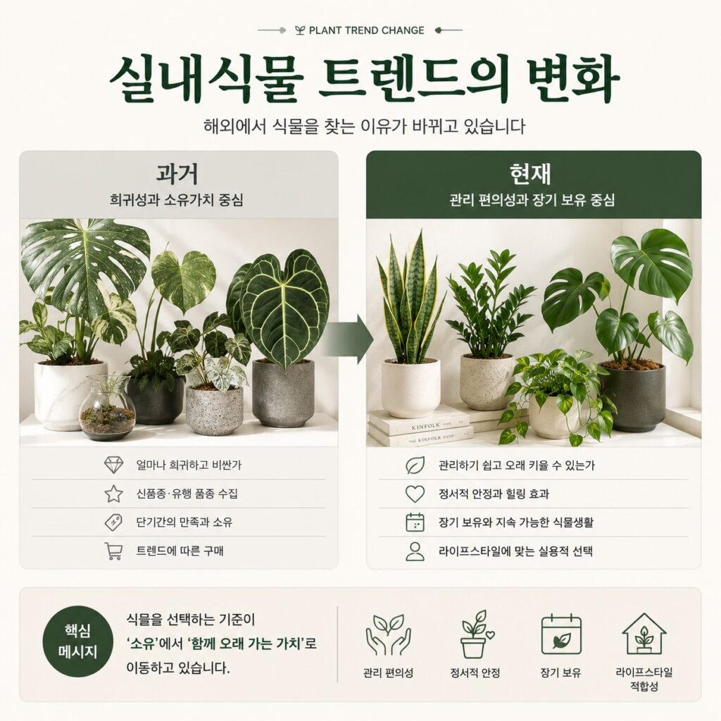실내식물 트렌드 변화