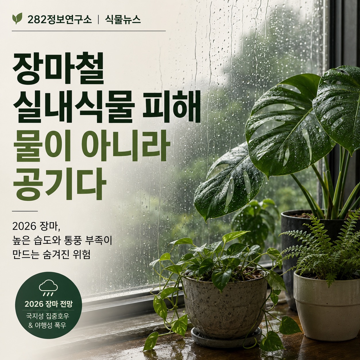 장마철실내식물피해물이아니라공기다
