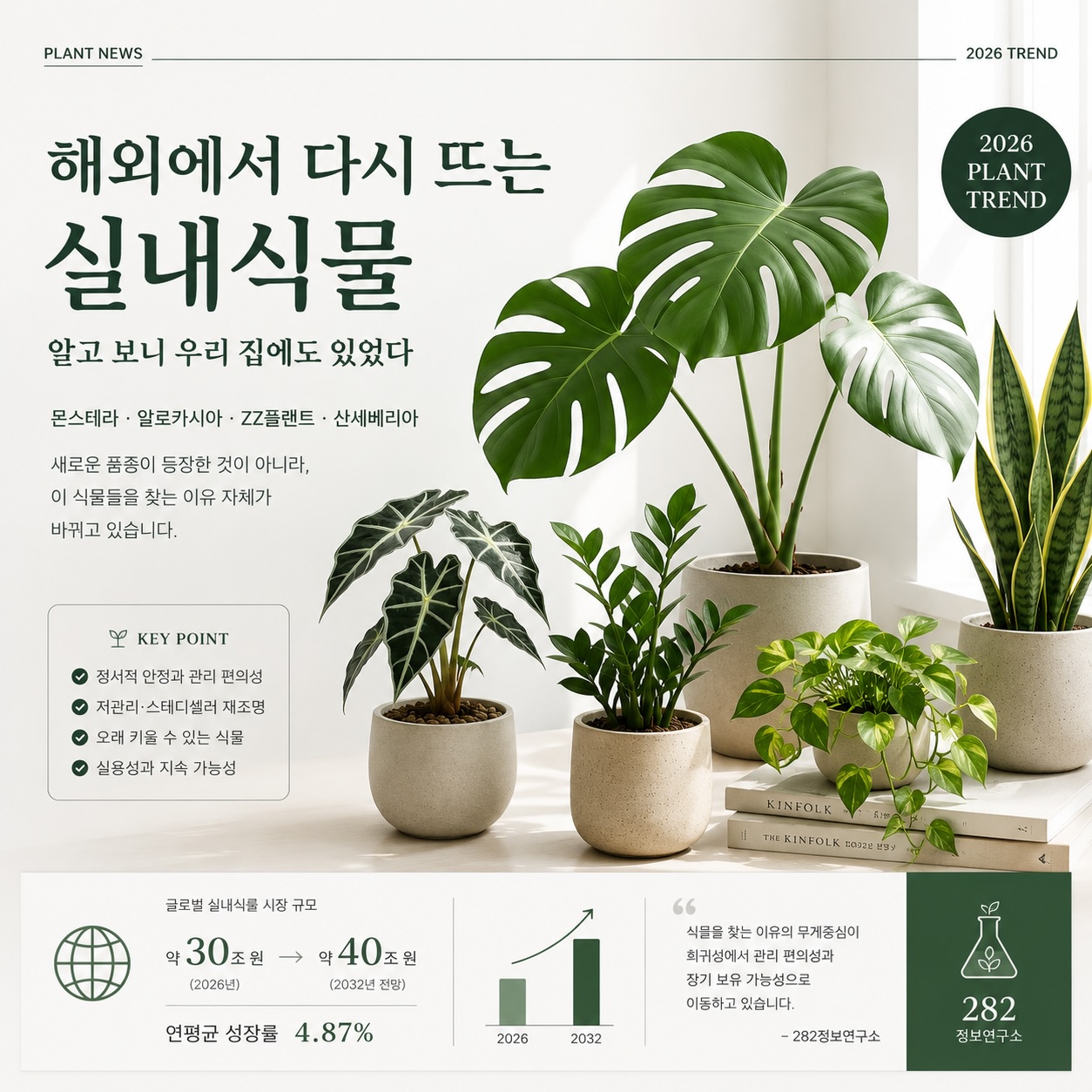 해외에서_다시_뜨는_실내식물