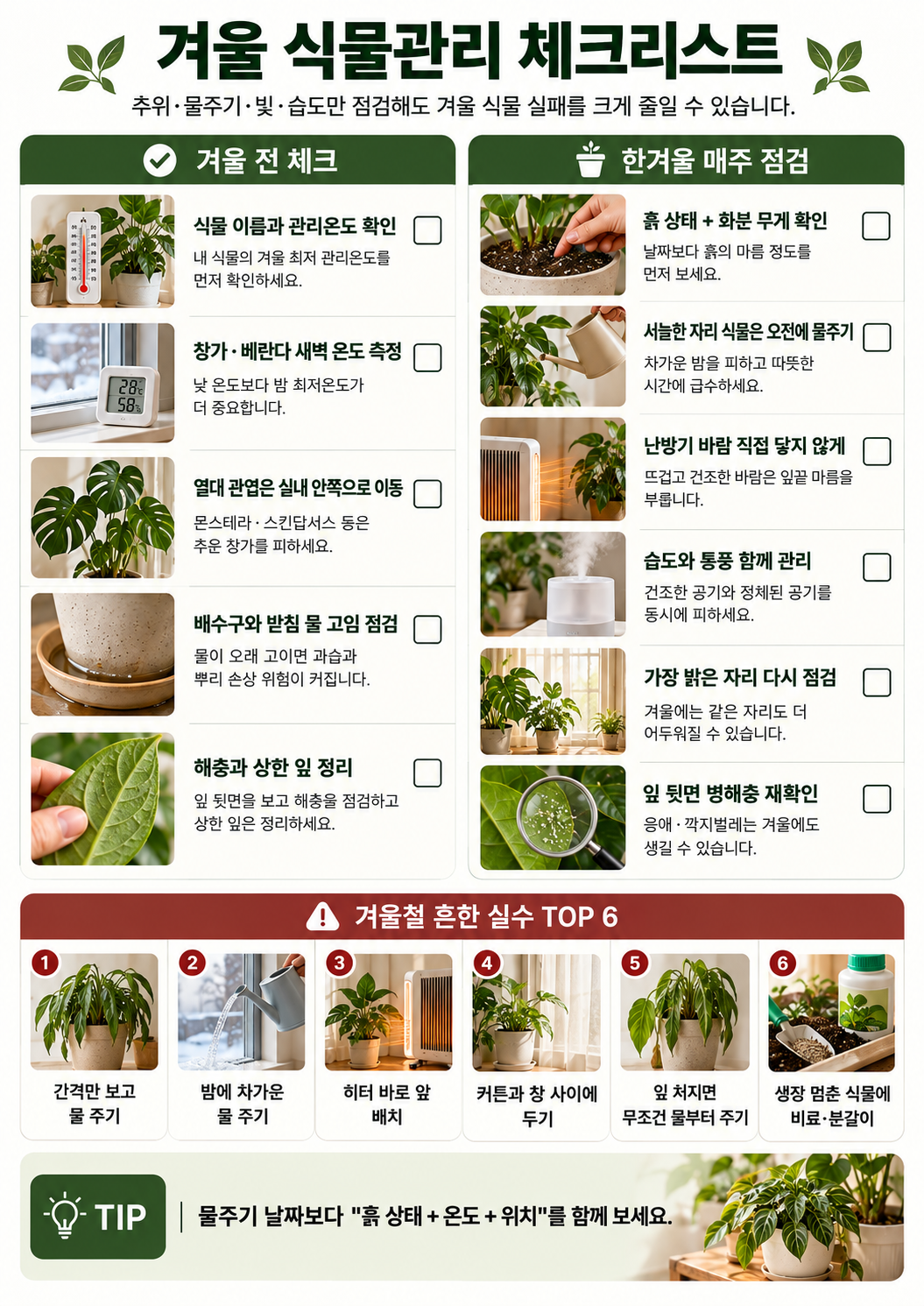 겨울 식물관리 체크리스트