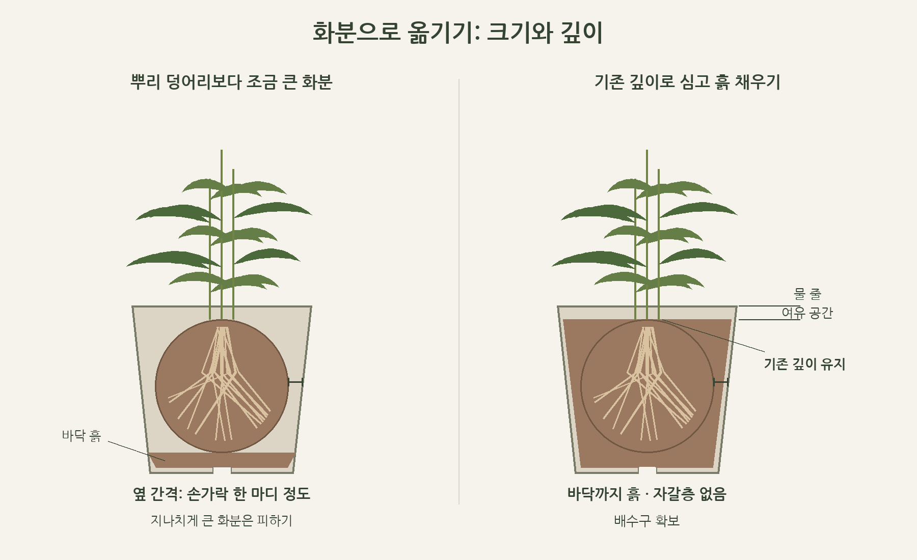 바닥 흙과 배수구, 기존 밑동 깊이 및 물 줄 여유 공간을 표시한 화분 단면