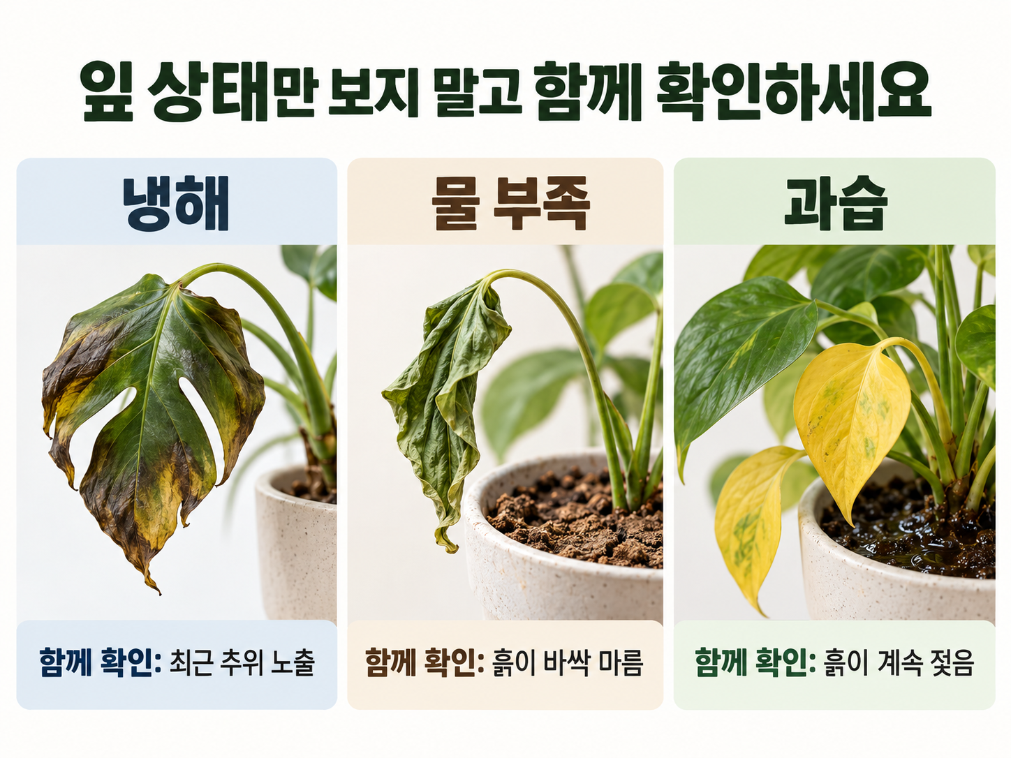 나무젓가락으로 확인하는 화분 속 수분